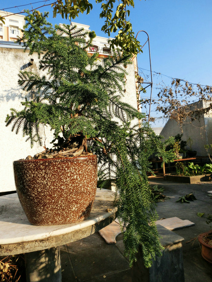CIMG0367.JPG