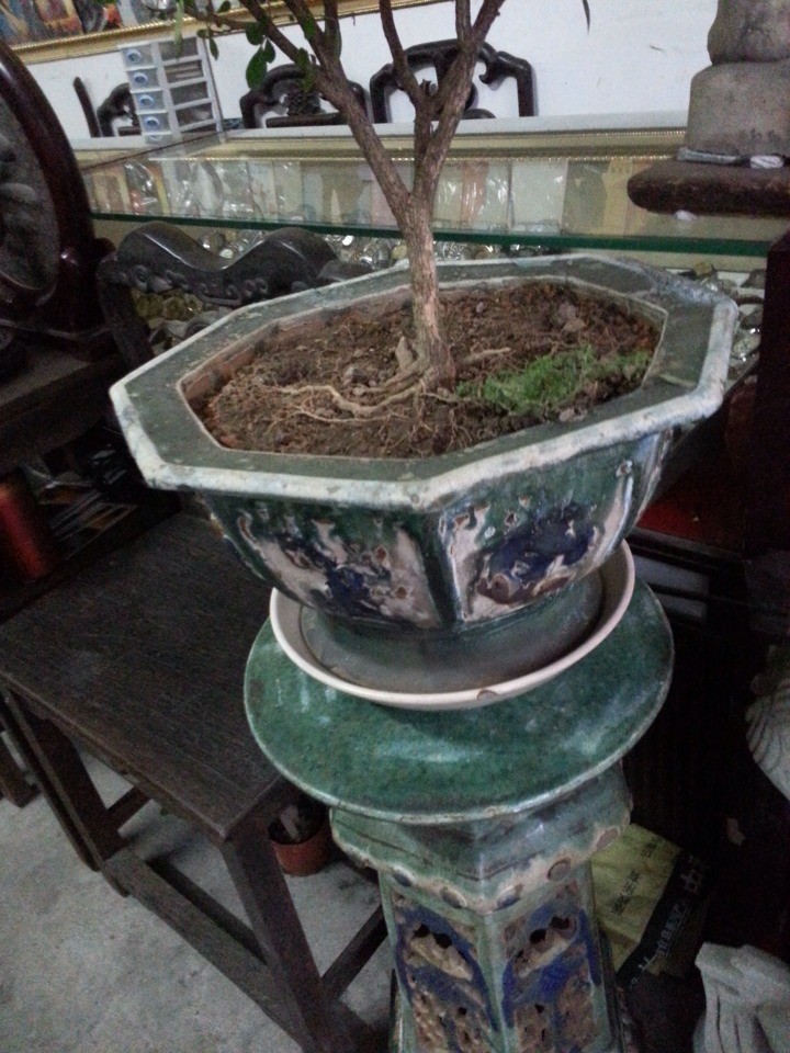 QQͼƬ20140116215722.jpg