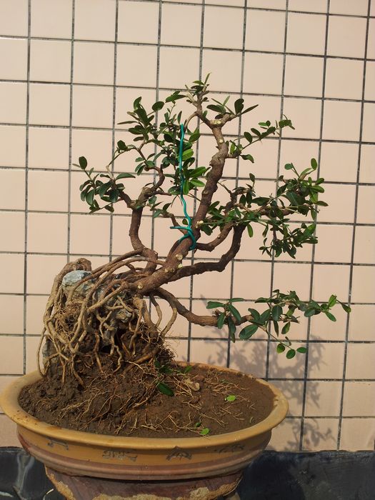 20140117_135904.jpg