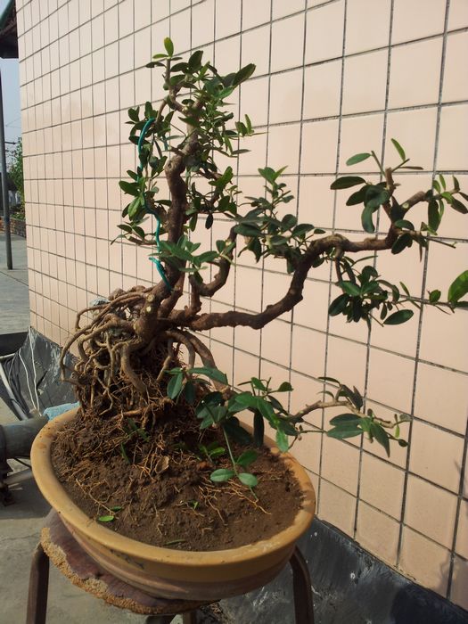 20140117_135935.jpg