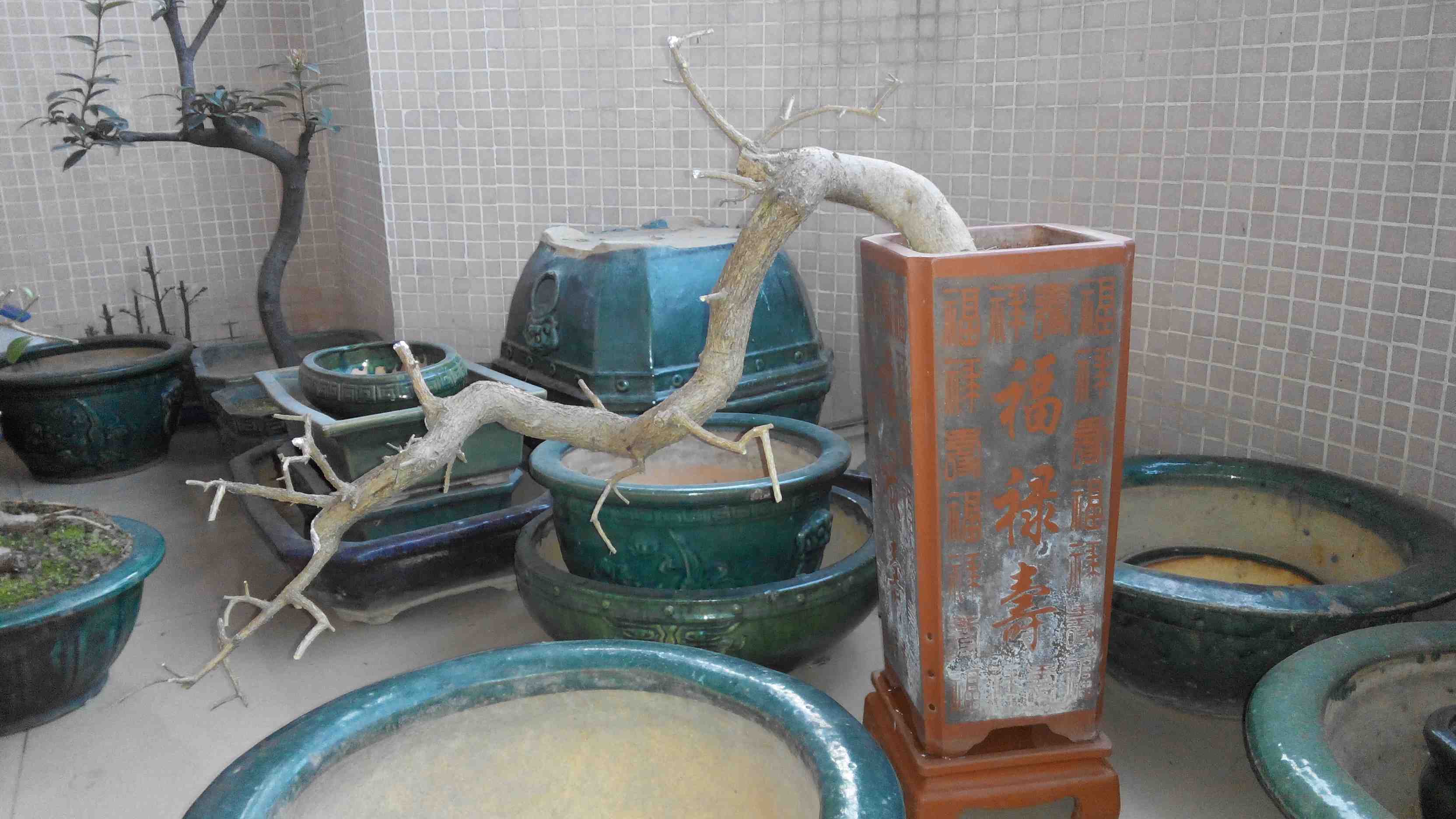 2014120072724.jpg
