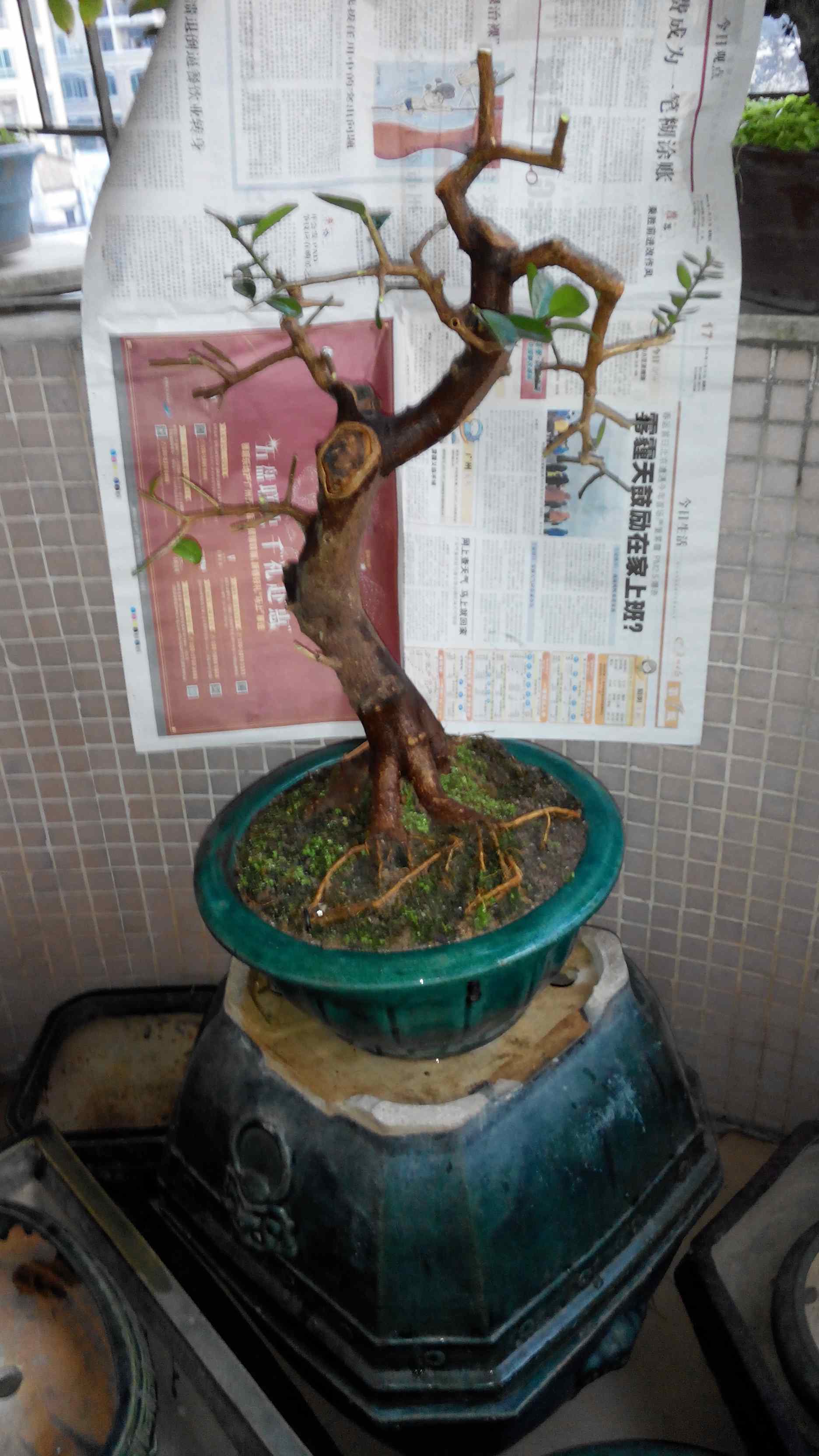 2014119180446.jpg