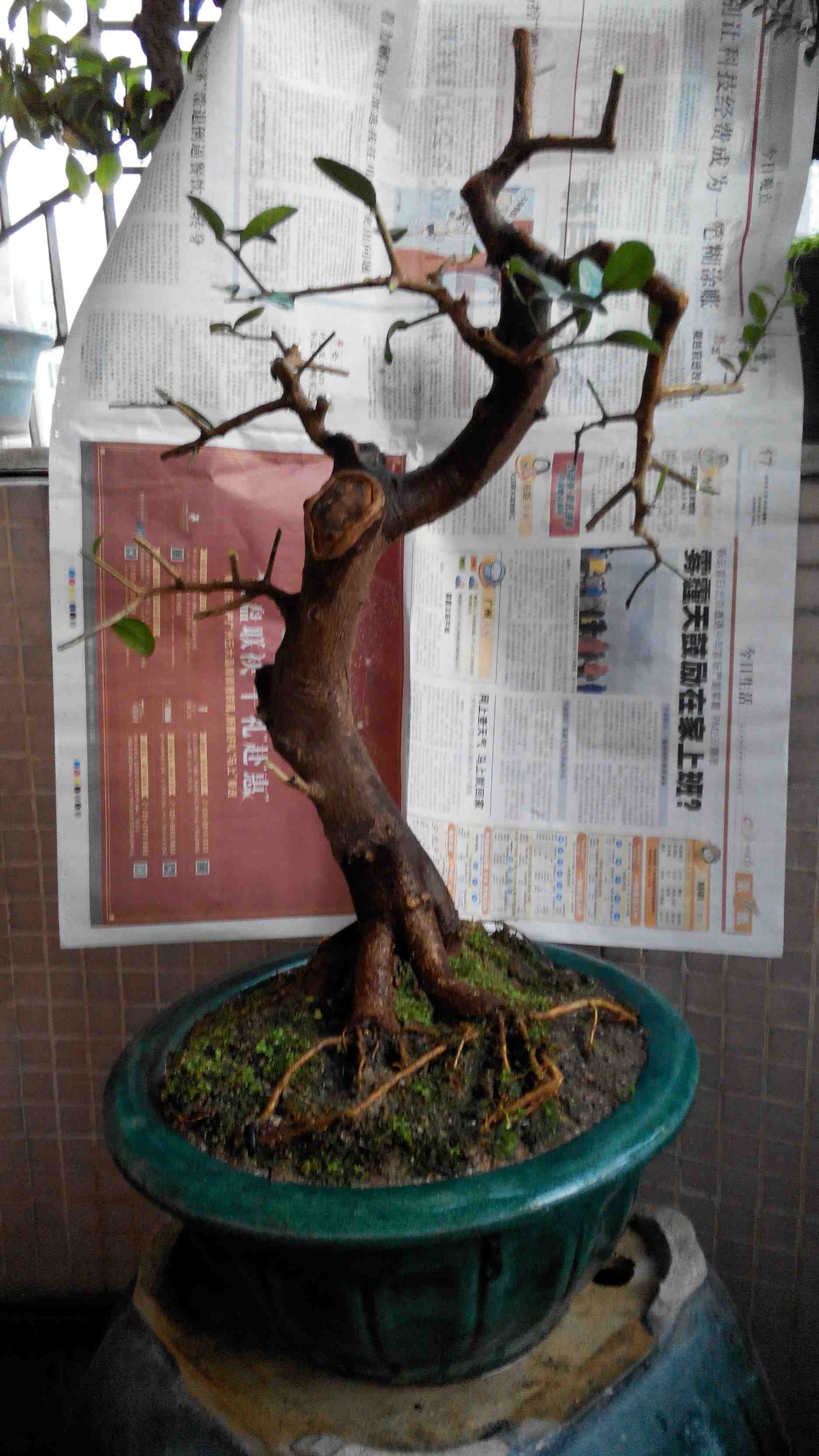 2014119180507.jpg