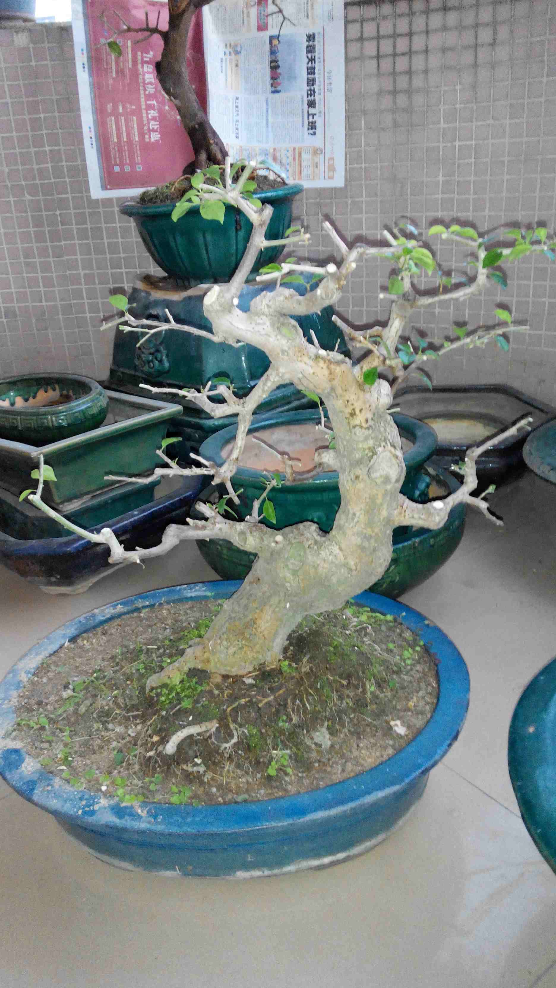 2014119180549.jpg