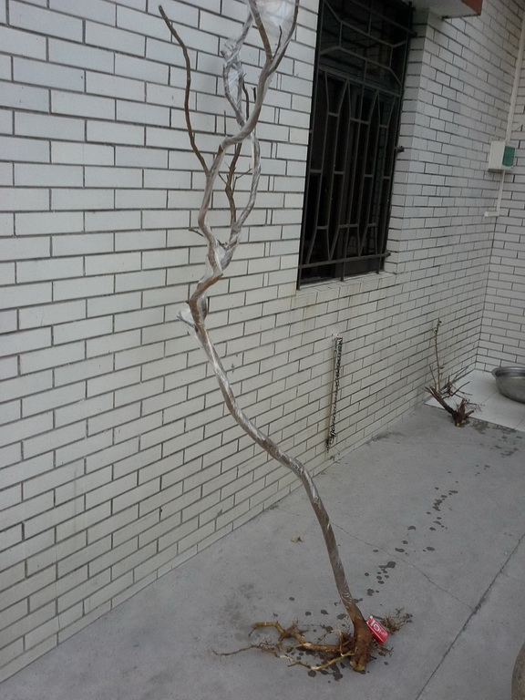 20140120_175110_С.jpg