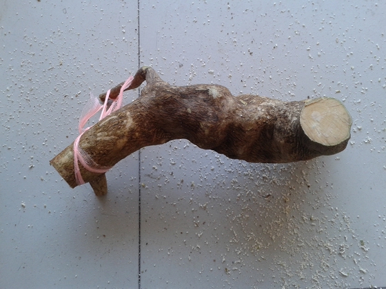 20140120_152049.jpg
