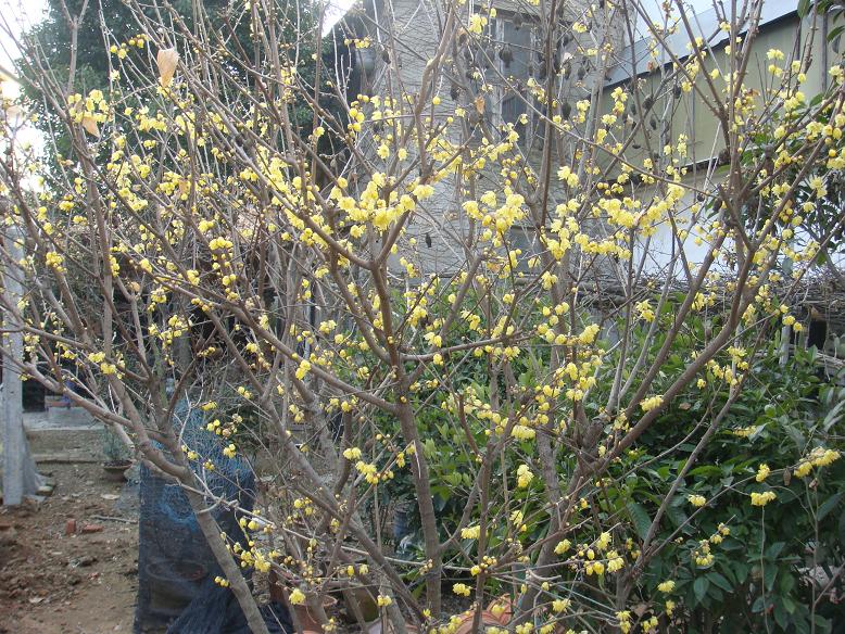 DSC06587.JPG