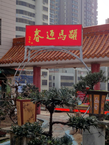 DSC01186_С.jpg