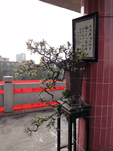 DSC01196_С.jpg
