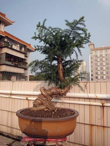 DSC01208_С.jpg
