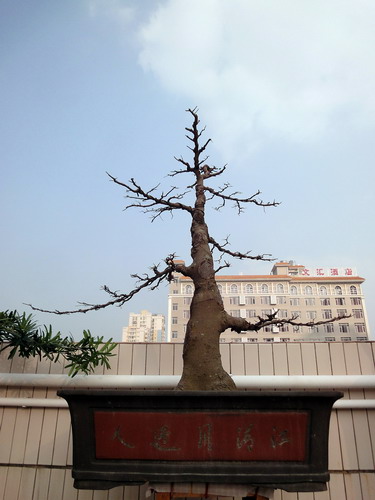 DSC01210_С.jpg