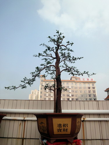 DSC01214_С.jpg