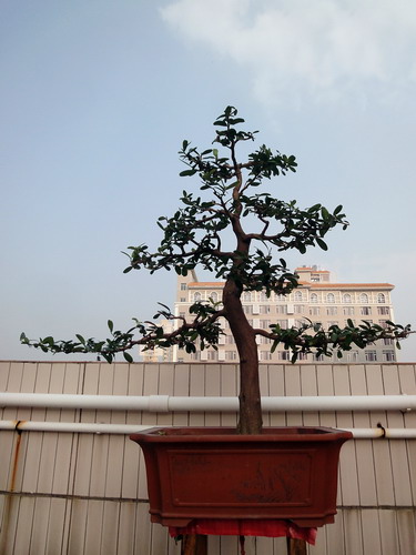 DSC01215_С.jpg