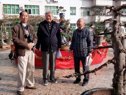 DSC01253  ƽΰڻ_С.jpg
