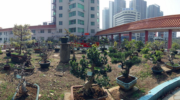 DSC01378  ԰һ_С.JPG