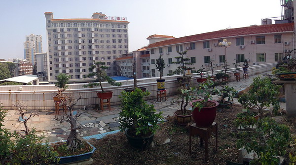 DSC01407  ԰һ_С.JPG