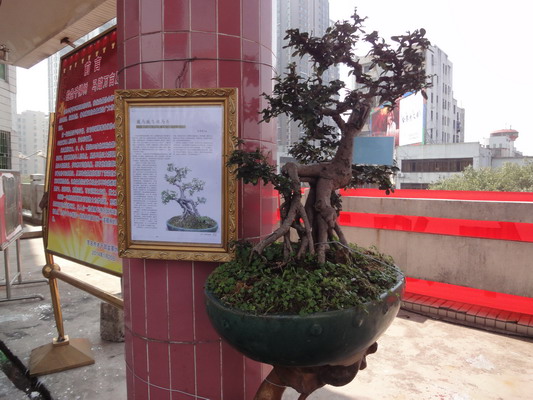 DSC01421_С.jpg