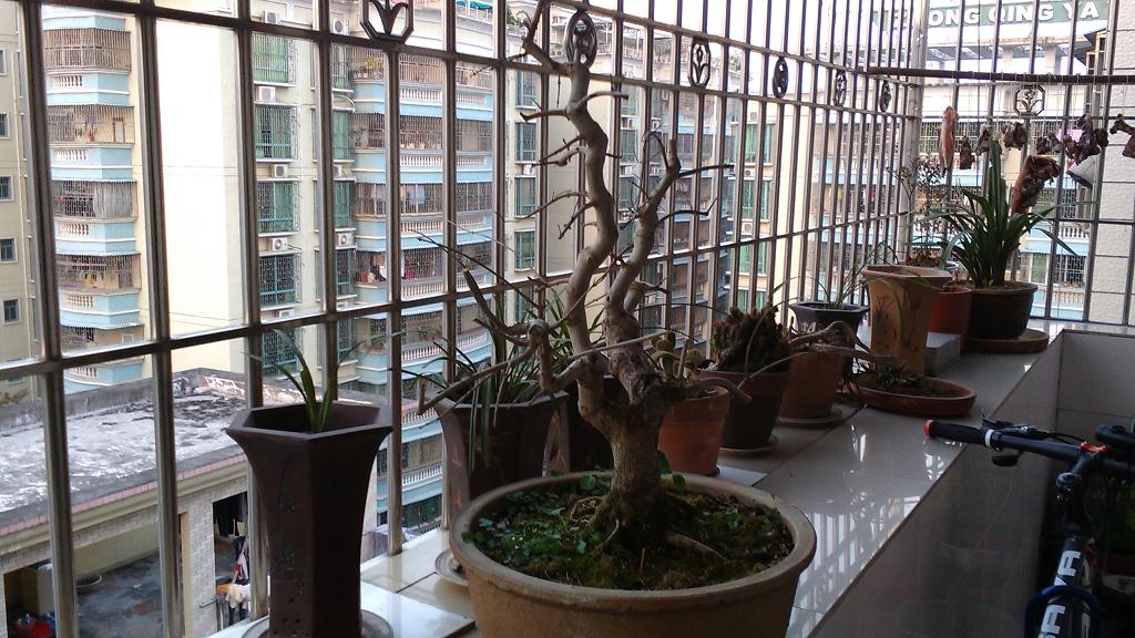 IMG_20140122_174719.jpg