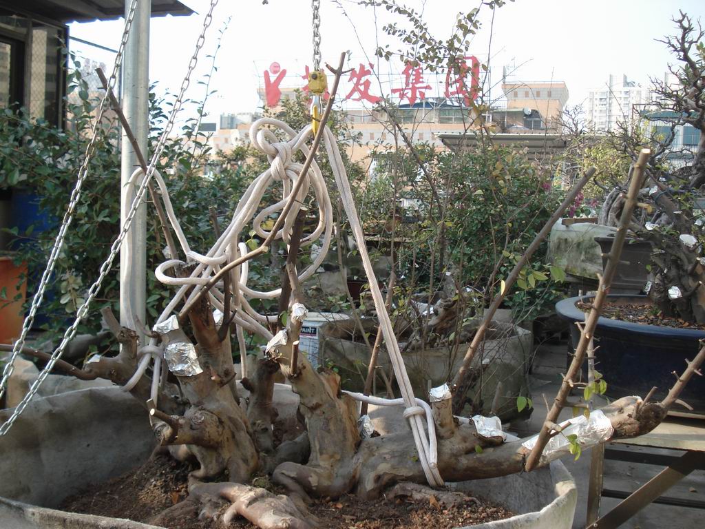 С DSC01650.JPG