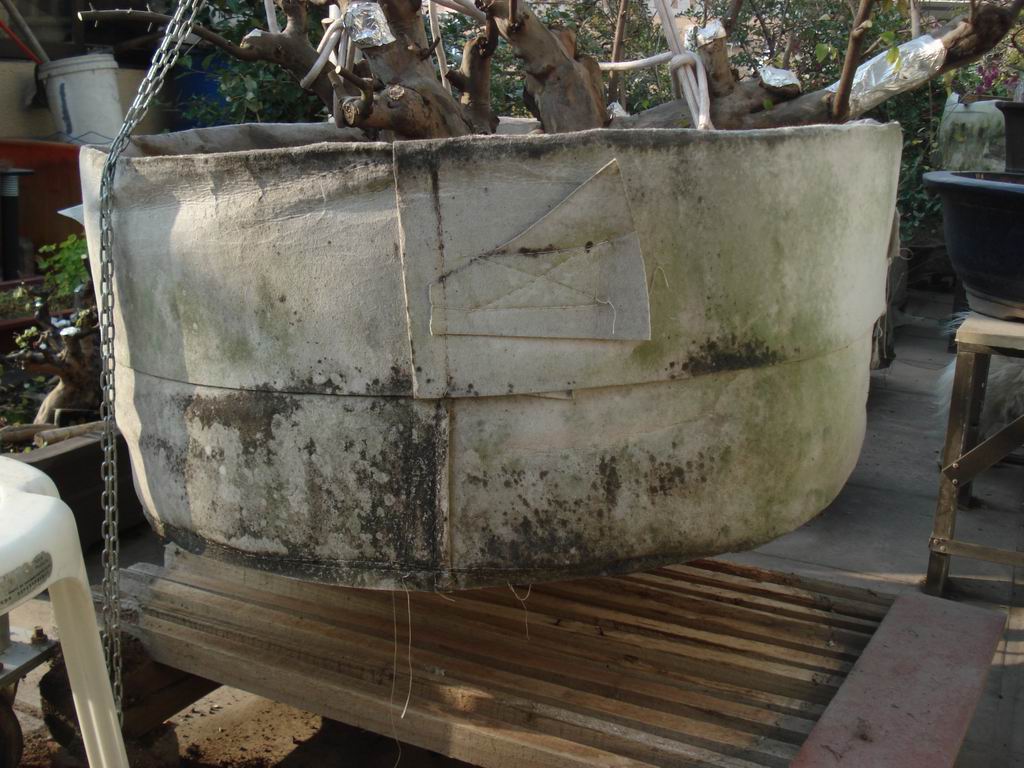 С DSC01652.JPG