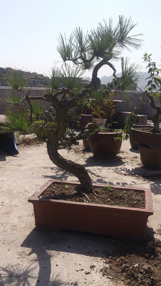 201310.1.5.jpg