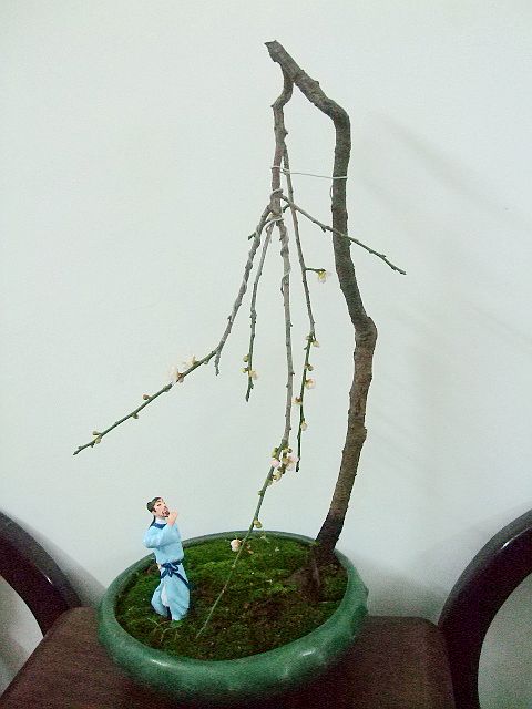 DSCF0392.JPG
