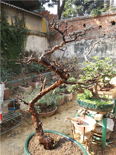 20140123_112148_.jpg