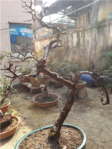 20140123_112123_.jpg