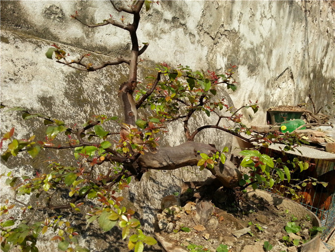 20140123_112103_.jpg