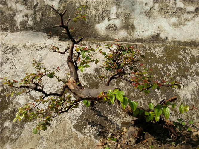 20140123_112038_.jpg