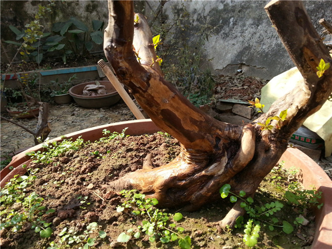20140123_111802_.jpg