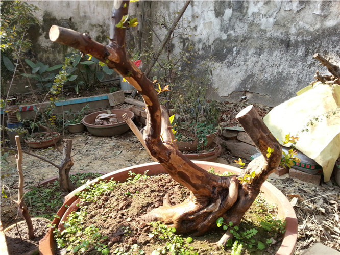 20140123_111754_.jpg
