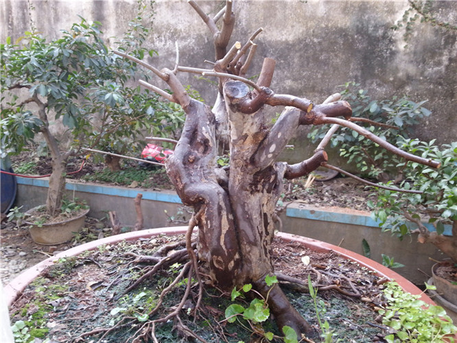 20140123_111649_.jpg