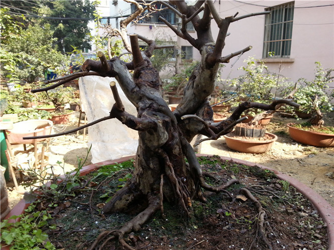 20140123_111630_1.jpg