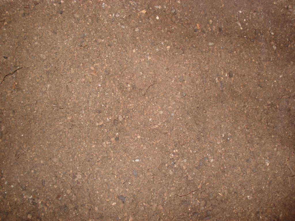 С DSC01667.JPG