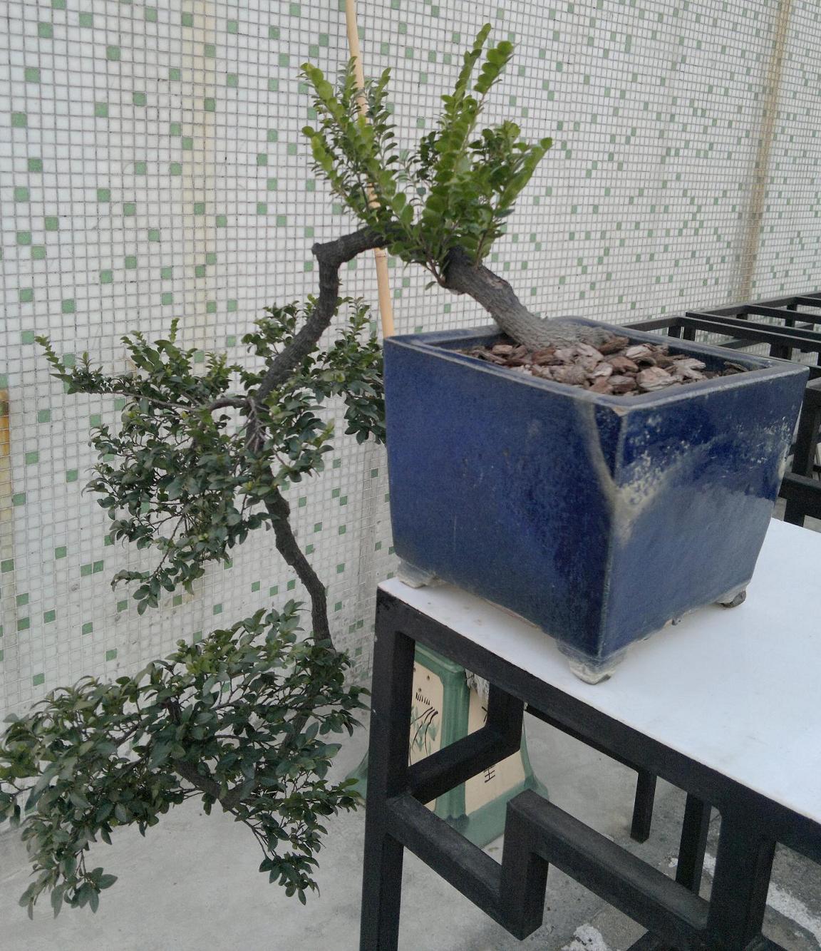 201401181809.jpg
