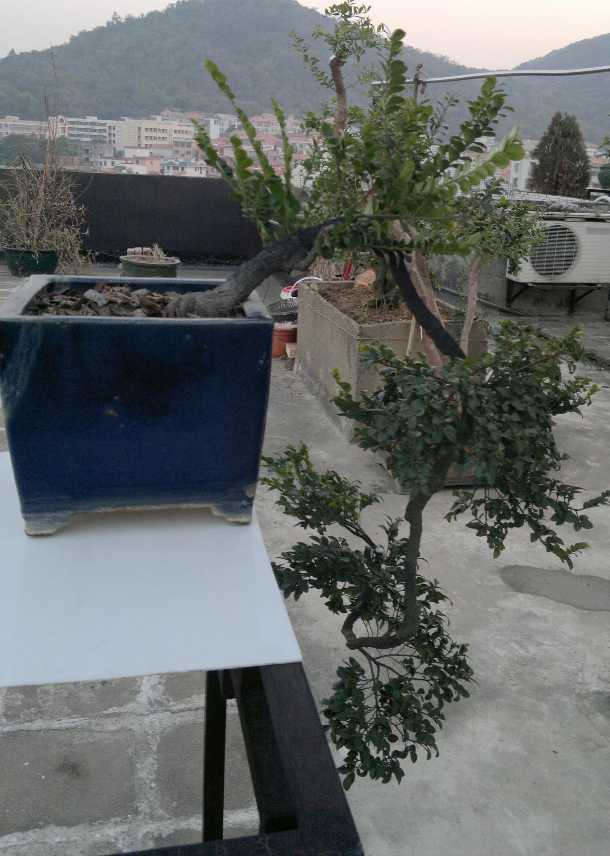 201401181810.jpg
