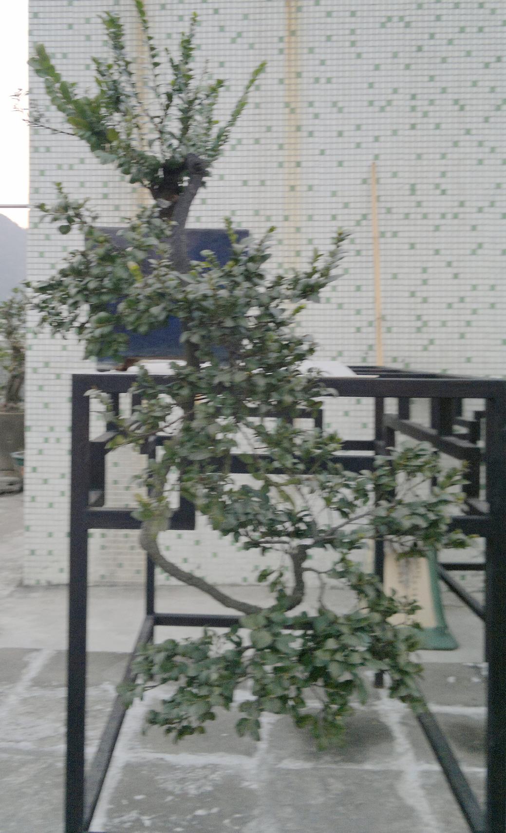 201401181813.jpg