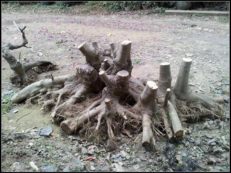 ˼2.jpg