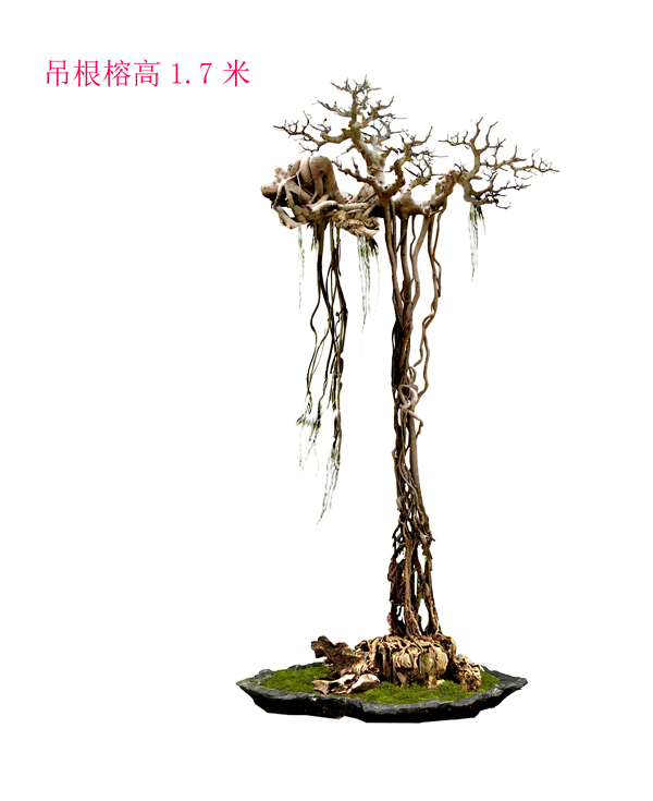 2014.120.jpg