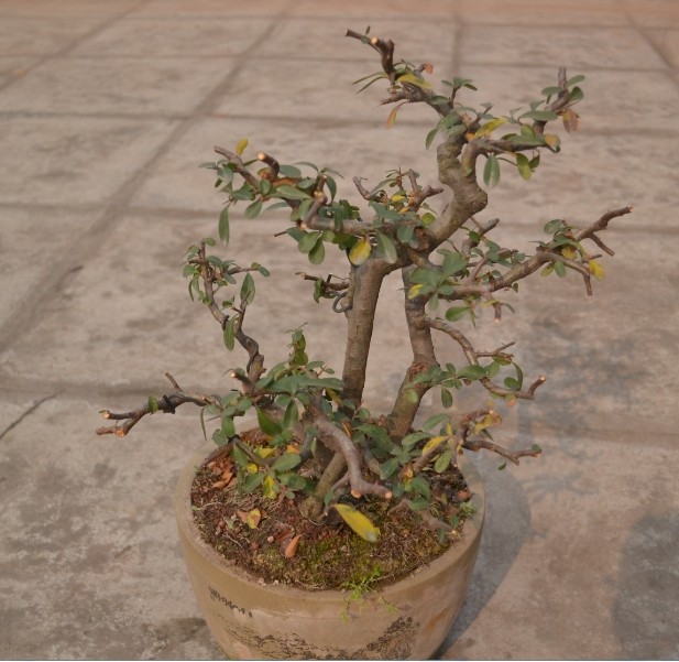 QQͼƬ20140126150134.jpg