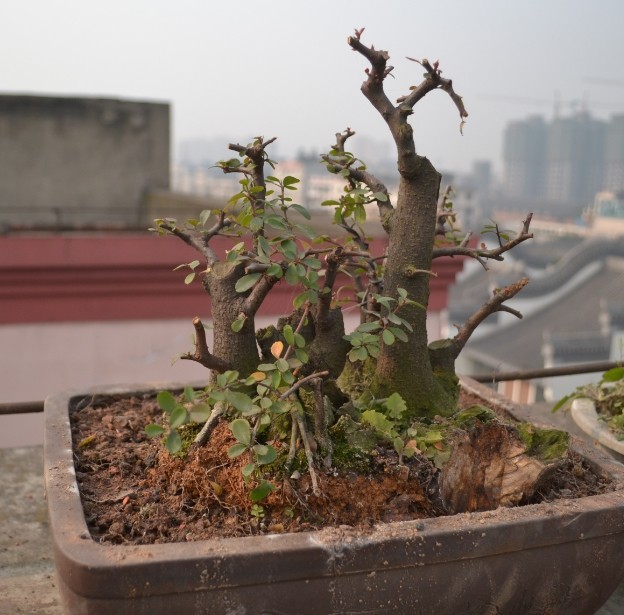 QQͼƬ20140126150318.jpg