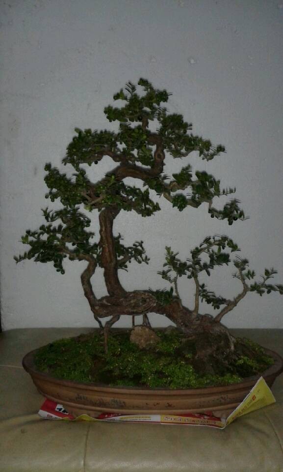 QQͼƬ20140126222051.jpg