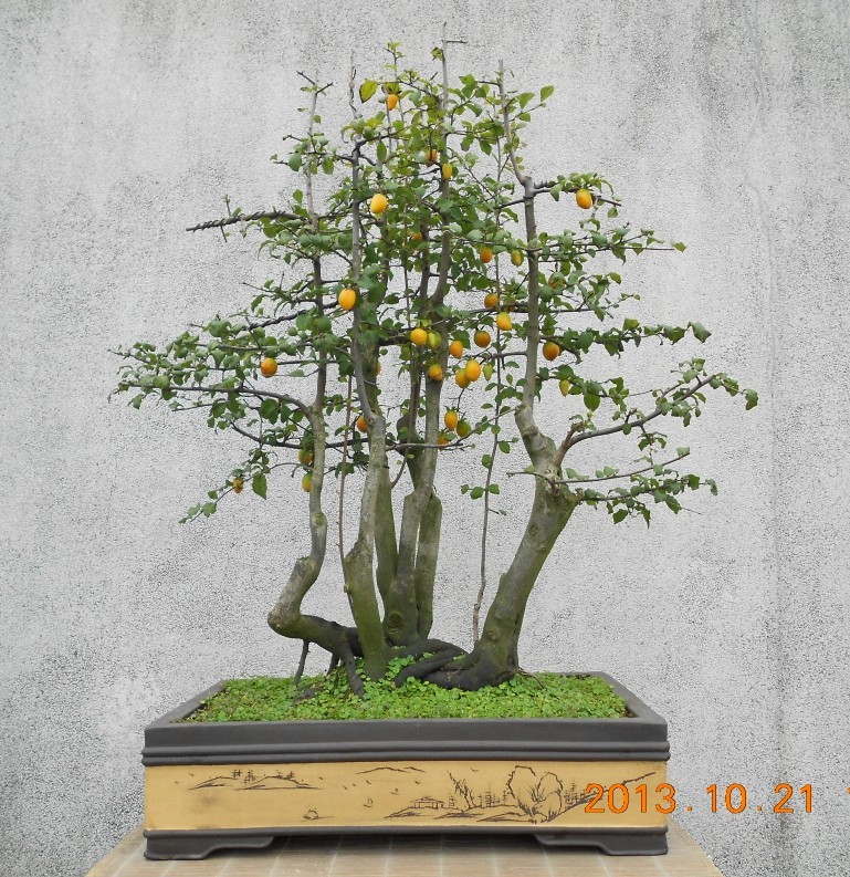 131.ѻ׮ޱ[95].jpg