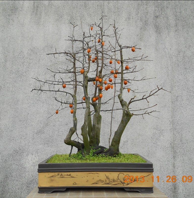 131.ѻ׮ޱ[96].jpg