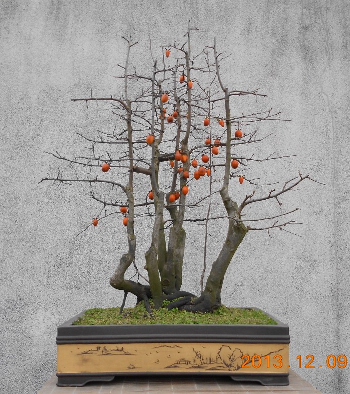 131.ѻ׮ޱ[97].jpg