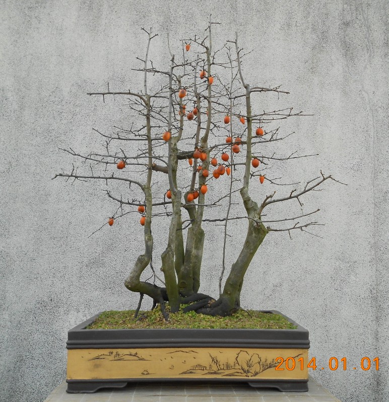 131.ѻ׮ޱ[98].jpg