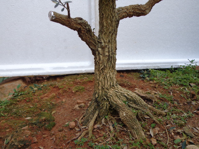 DSC02275.JPG