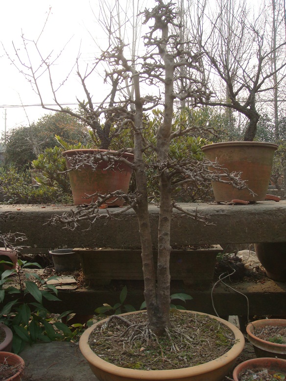 DSC06614.jpg