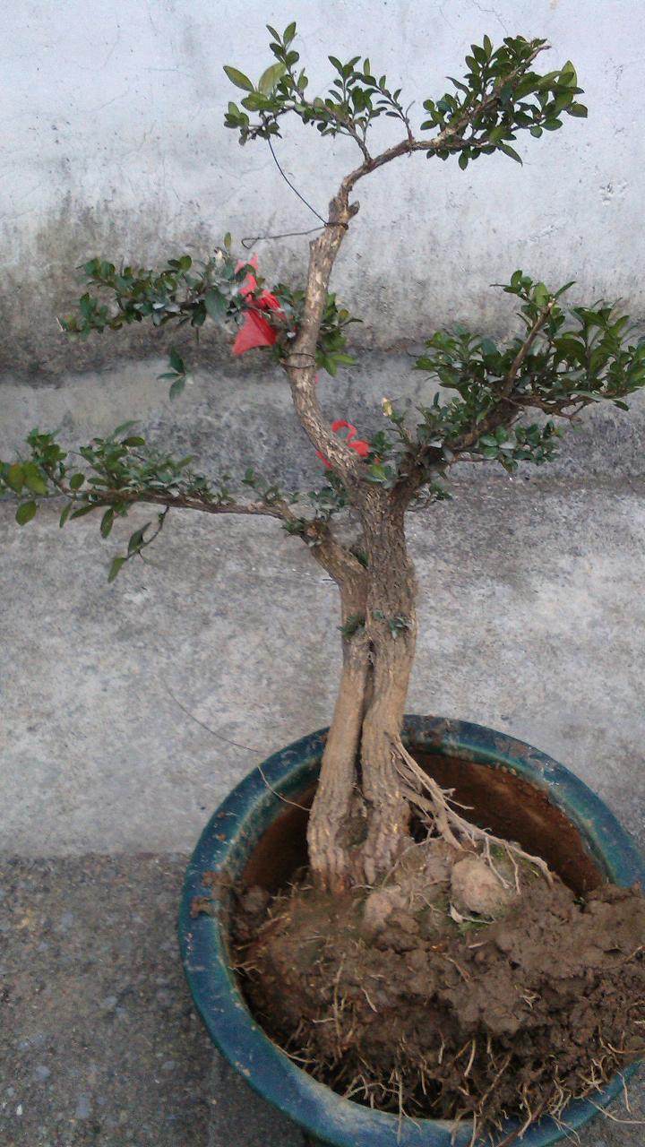 1.jpg